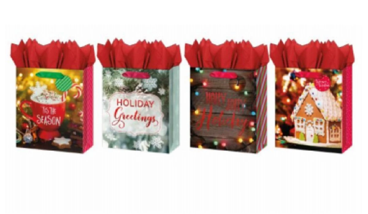 Large Contemporary Design Gift Bag with Handles