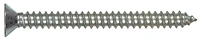 SS FH Phil Metal Screw 12