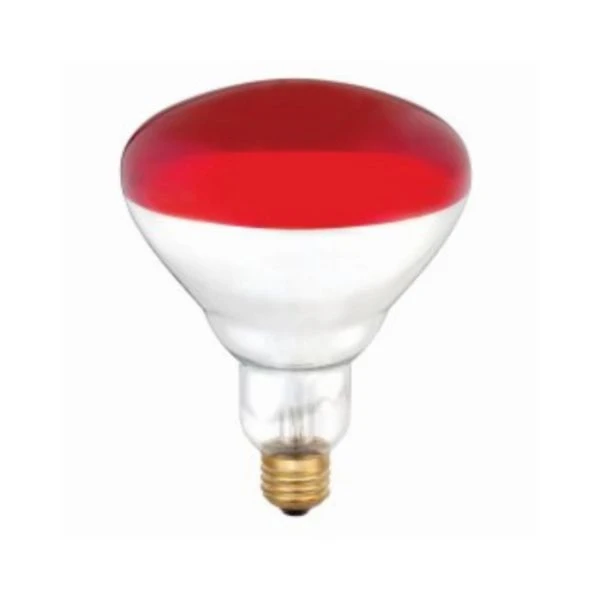 Westinghouse 250 W R40 Heat Lamp Incandescent Bulb E26 (Medium) Red 6 pk