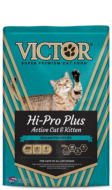 Hi-pro Plus Active Cat & Kitten Dry Food, 5 Lbs. - Nutritional Support For All Life Stages