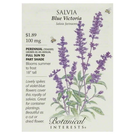 Salvia 'blue Victoria' Seeds 100 Mg For Vibrant Gardens