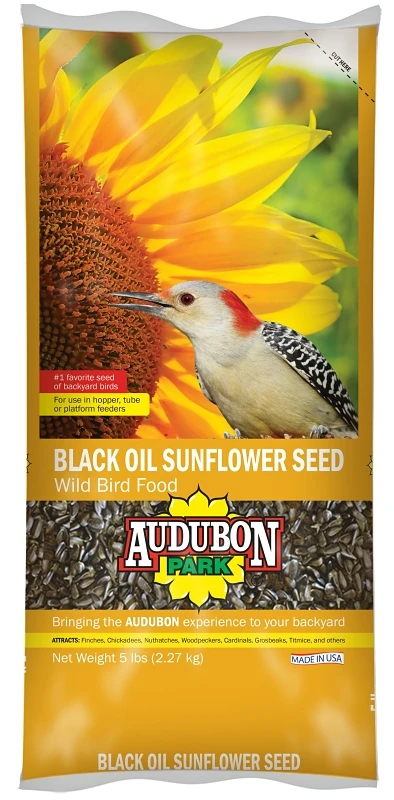 Black Oil Sunflower Seed, 5 Lb - Nutritious Bird Food