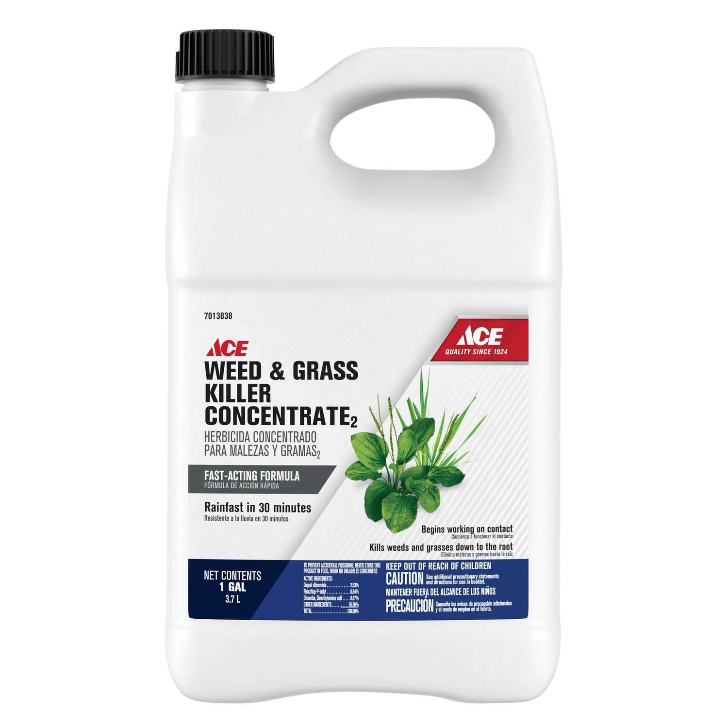 Weed And Grass Killer Concentrate 1 Gallon - Dual Action Formula For Effective Weed Control
