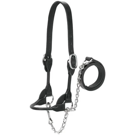 Xl Rounded Black Show Halter For Dairy And Beef Xlarge