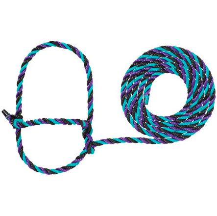 Livestock Cattle Rope Halter, Adjustable Poly Rope, 7' Length, Purple/black/teal