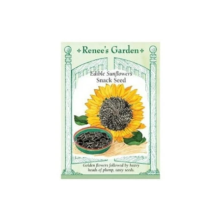 Sunflower Edible Snack Seed - Healthy, Nutritious, And Delicious