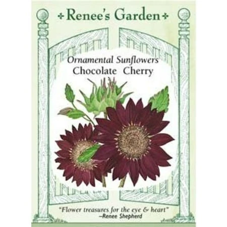 Sunflower Chocolate Cherry Seeds - Premium Quality For Home Gardening