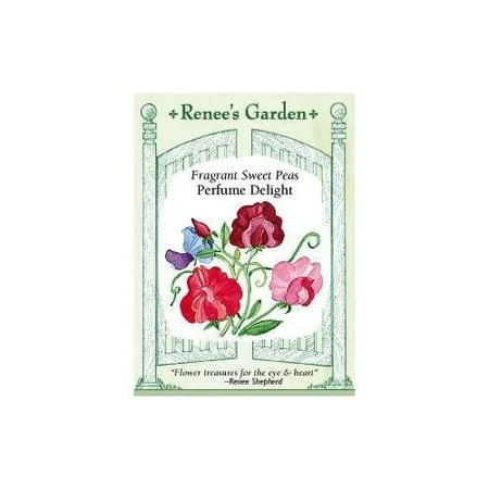 Sweet Pea - Perfume Delight Seeds For Vibrant Gardens