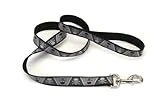 Brite Reflective Dog Lead 1 Inch X 6 Feet With Skull And Bones Design