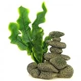 Resin Ornament Spa Stones With Plant - Textured Gray - 5.5" L X 3.5" W X 5" H