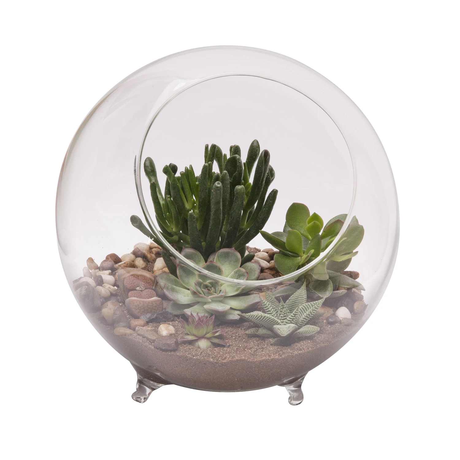 9.5 In. H X 10.25 In. D Clear Glass Sphere Terrarium With Feet