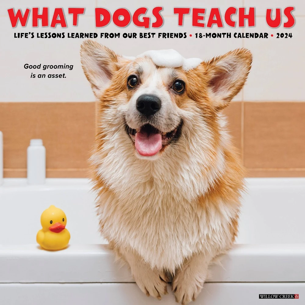 What Dogs Teach Us 2024 Wall Calendar 12x12