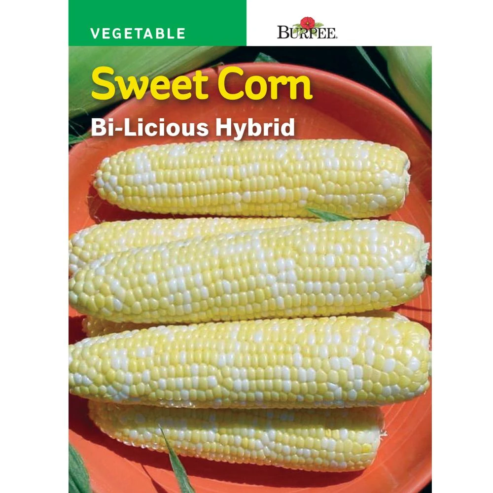 Bicolor Sugary Enhancer Hybrid Bi-licious Sweet Corn Seed Packet - Model 62111