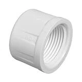 CAP PVC SCH40 1/2"FPT
