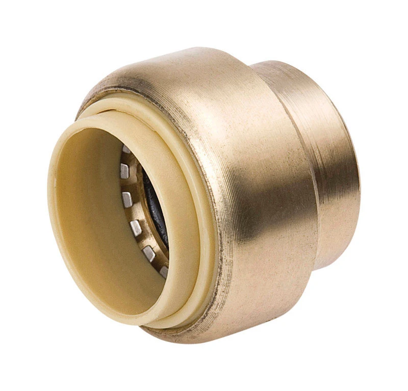 3/4 Inch Push Fit Cap With Pex Insert For Copper, Cpvc, And Pex Tubing