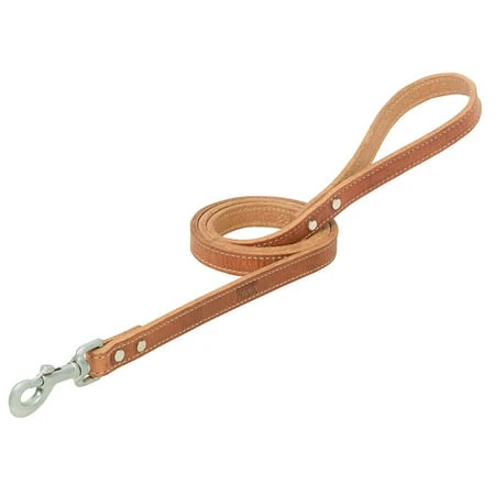 Terrain D.o.g. Harness Leather Dog Leash 3/4in Width 4ft Length