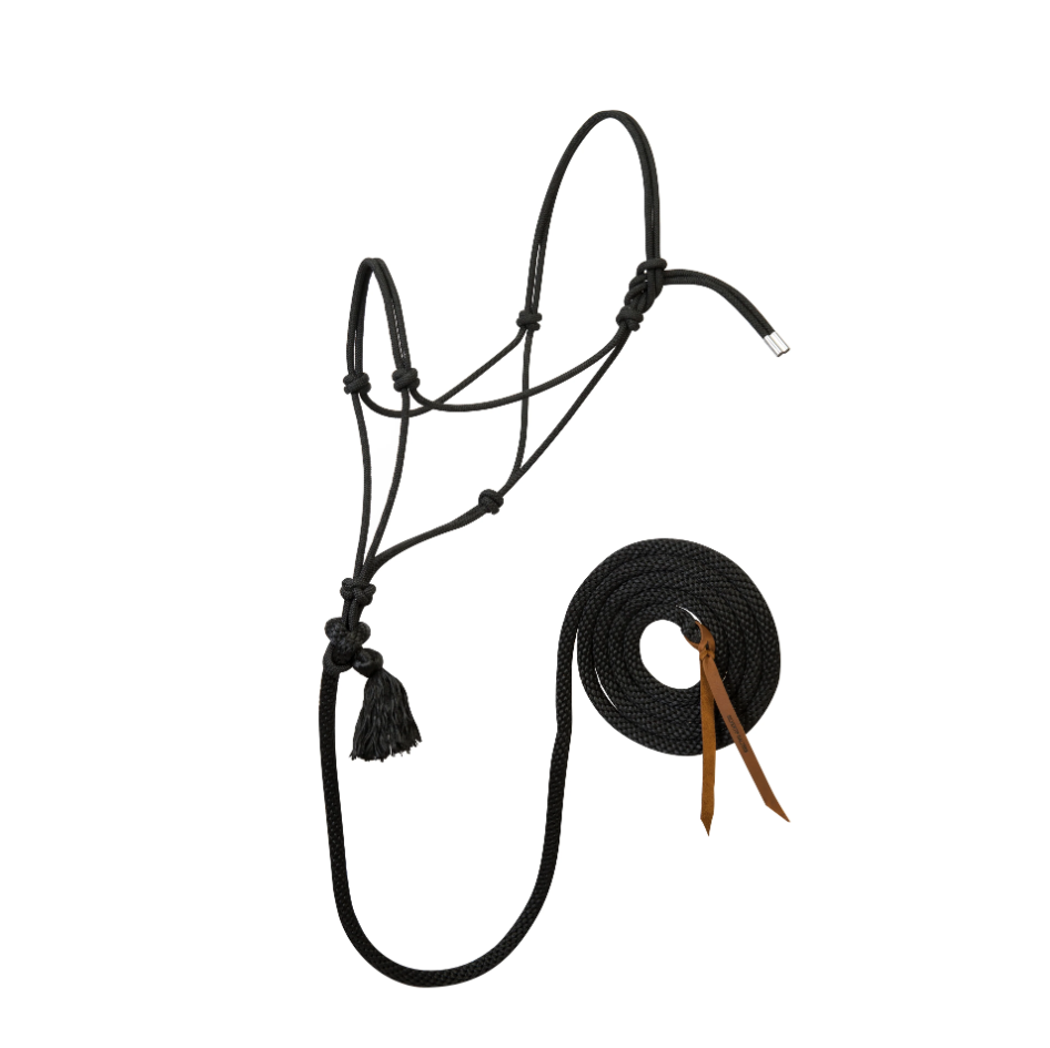 Silvertip No. 95 Rope Halter With 10' Lead, Black, Average Size