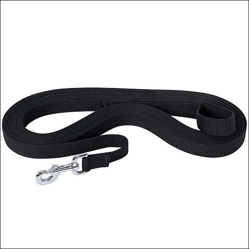 Leather Flat Cotton Lunge Line 1" X 30' With Nickel Plated 225 Snap