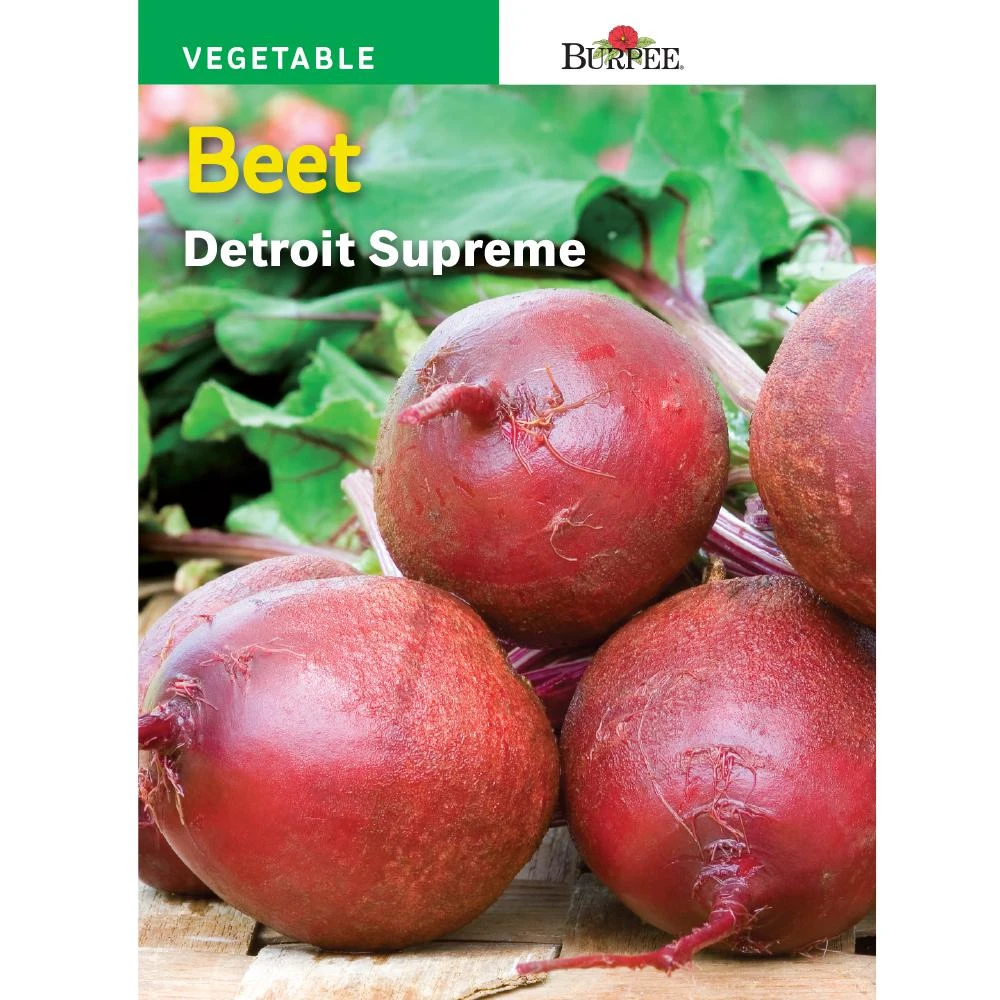 Beet Detroit Supreme Seed Packet - Model 52201 For Home Gardens