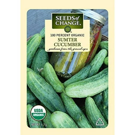 Certified Organic Cucumber Sumter Seeds - 1.7 Grams, 55 Seeds