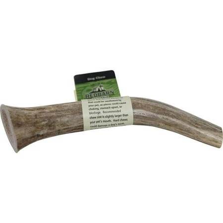 260103 Large Elk Antler Whole - Pack of 12