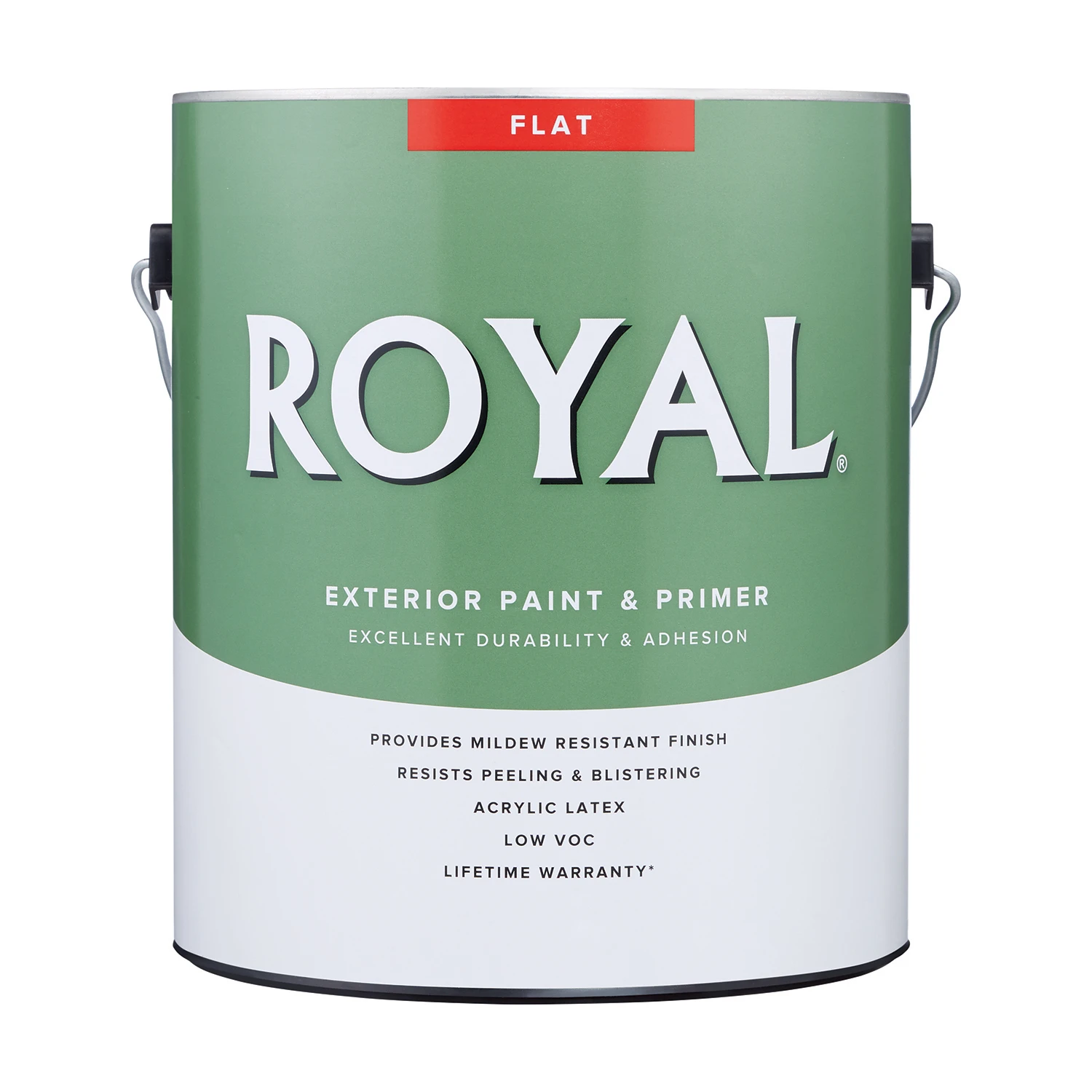 Flat High Hiding White Exterior Paint 1 Gallon For All Surfaces