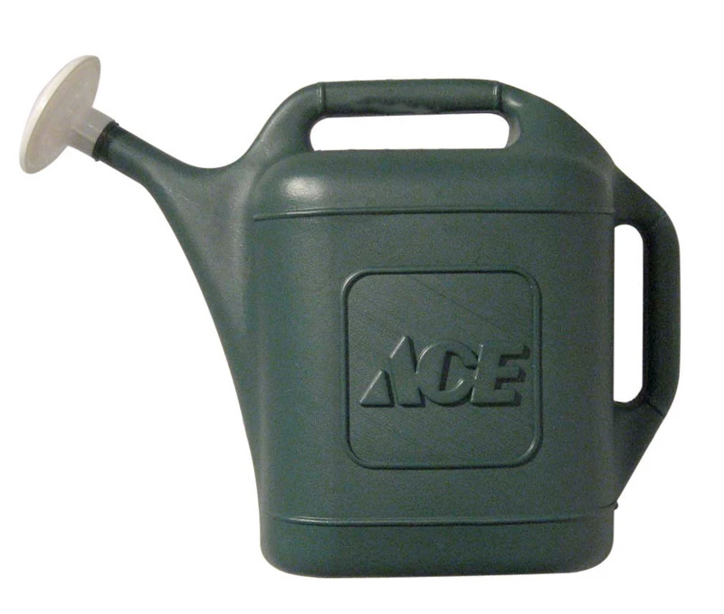 ACE WATERING CAN 2GAL