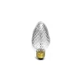 60 Watt 120 Volt Decorative Halogen Light Bulb For Indoor And Outdoor Use