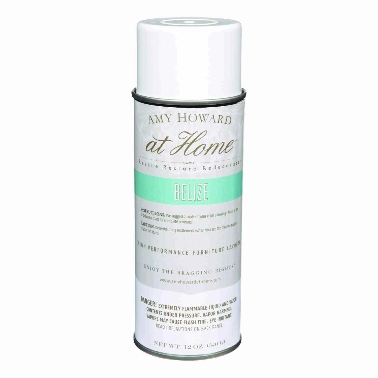 Gloss Belize High Performance Furniture Lacquer Spray 12 Oz