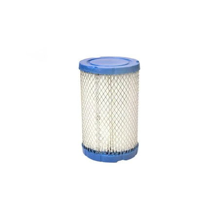 796031 Air Filter For Model Series 31c700 & 31p677, 17.5 Gross Hp