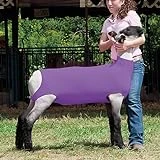 Spandex Lamb Tube, Large, Purple Color For Livestock Care