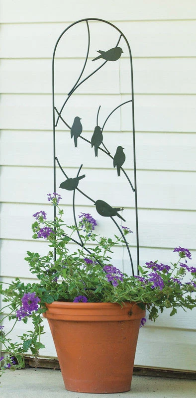 40 In. H Black Steel Trellis For Climbing Plants And Garden Support