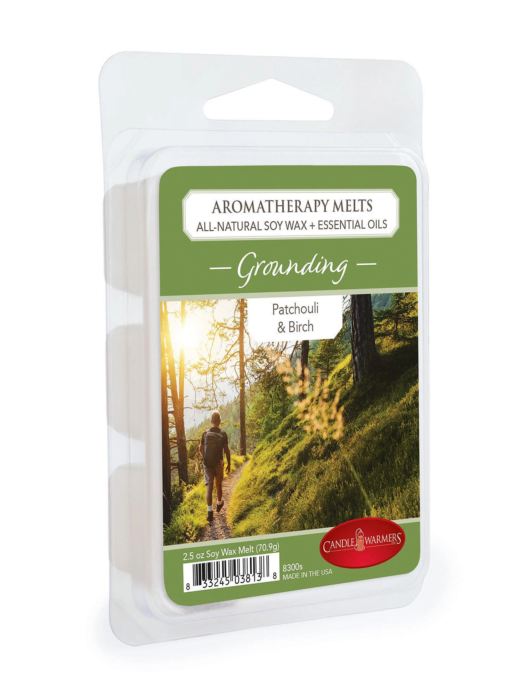 2.5 Oz Grounding Patchouli & Birch Essential Oils Wax Melts