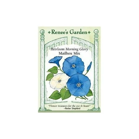 Mailbox Mix Flower Seeds - Vibrant Colors For Your Garden