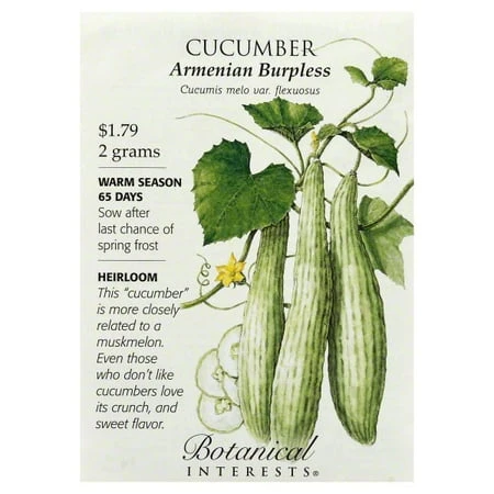 Armenian Burpless Cucumber Seeds, 2 Grams For Home Gardening