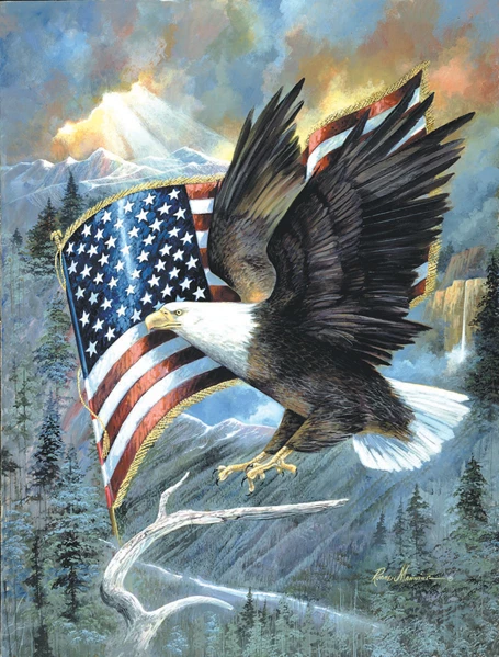 American Eagle 500 Piece Jigsaw Puzzle For Adults And Kids