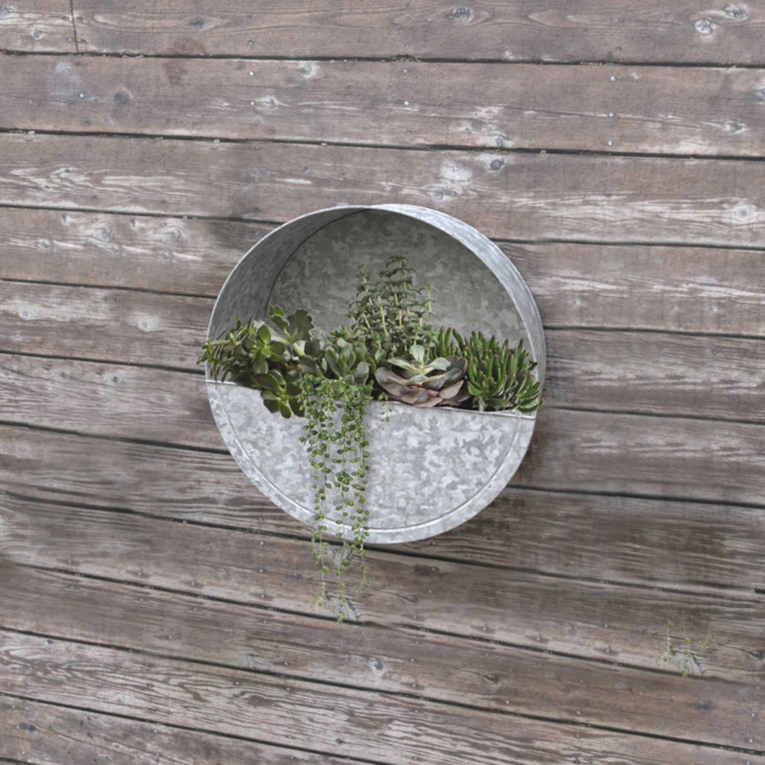 14 Inch Diameter Galvanized Metal Wall Planter For Outdoor Use