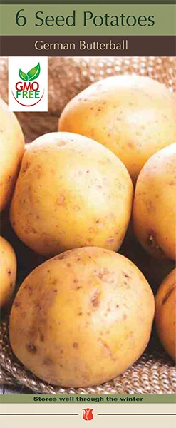 Netherland Bulb Boxed Seed Potatoes - German Butterball Variety