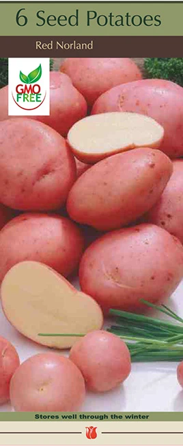 Bulb Boxed Seed Potatoes - Red Norland Variety For Home Gardening