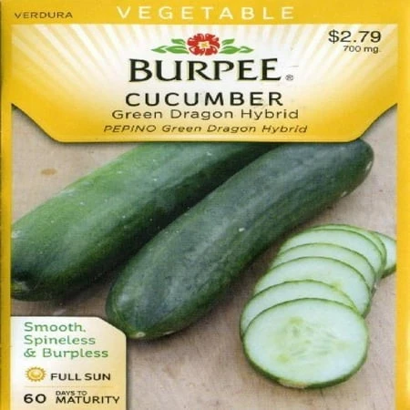 61028 Cucumber Green Dragon Seed Packet - High Yield, Organic Seeds