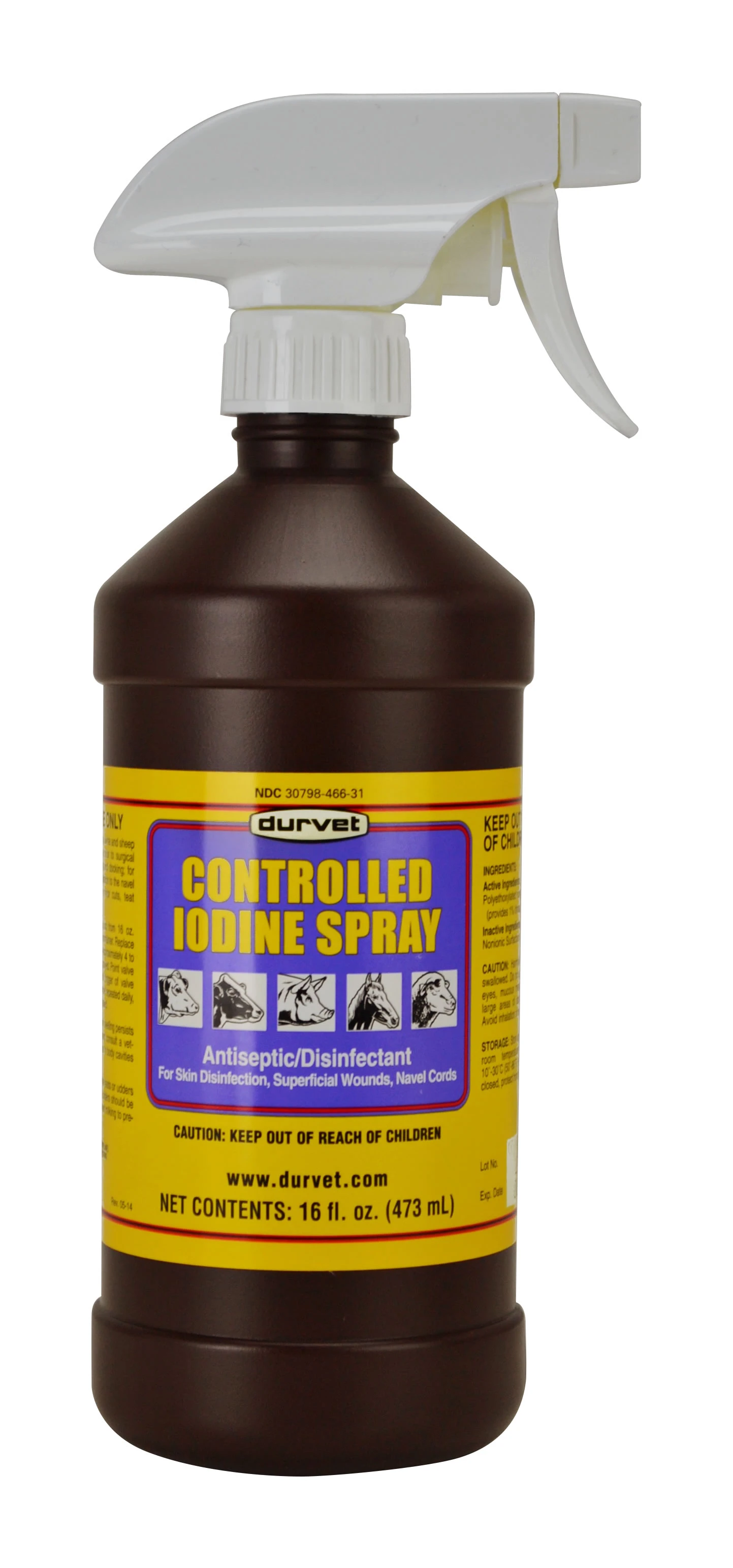 IODINE SPRAY 16OZ