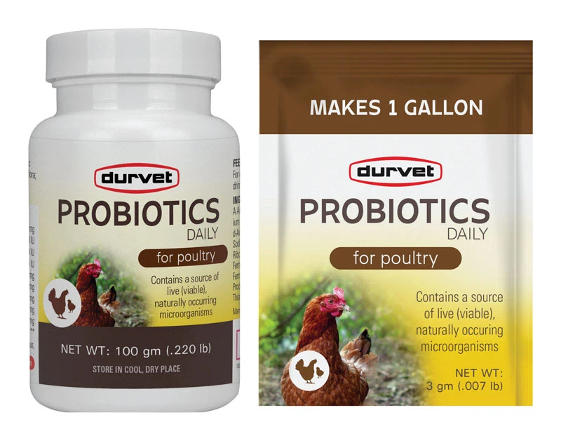 Powder Probiotic Supplement For Poultry 100 Gram - Avian Digestive Health