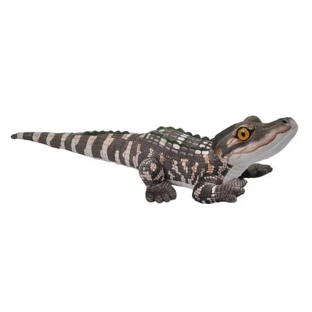 Mini Alligator Baby - 30 Centimeters Long