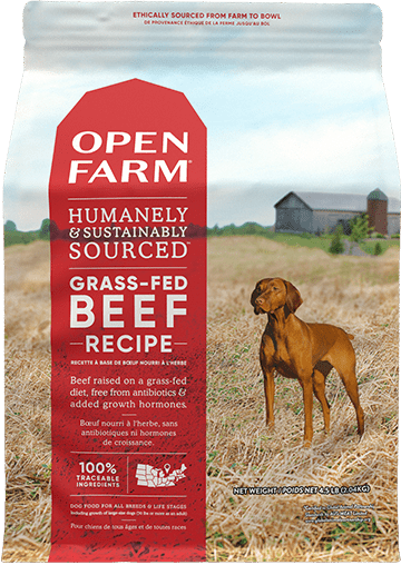 Grass-fed Beef Grain-free Dry Dog Food, 22 Pounds - Premium Nutrition