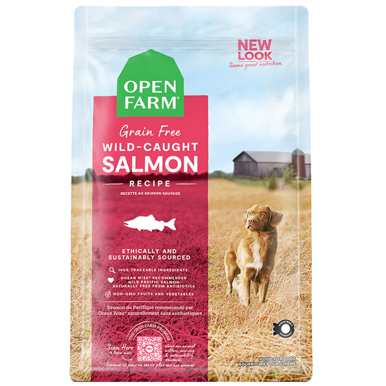 Wild Salmon Grain-free Dry Dog Food, 4 Pounds - Nutrient-dense Formula