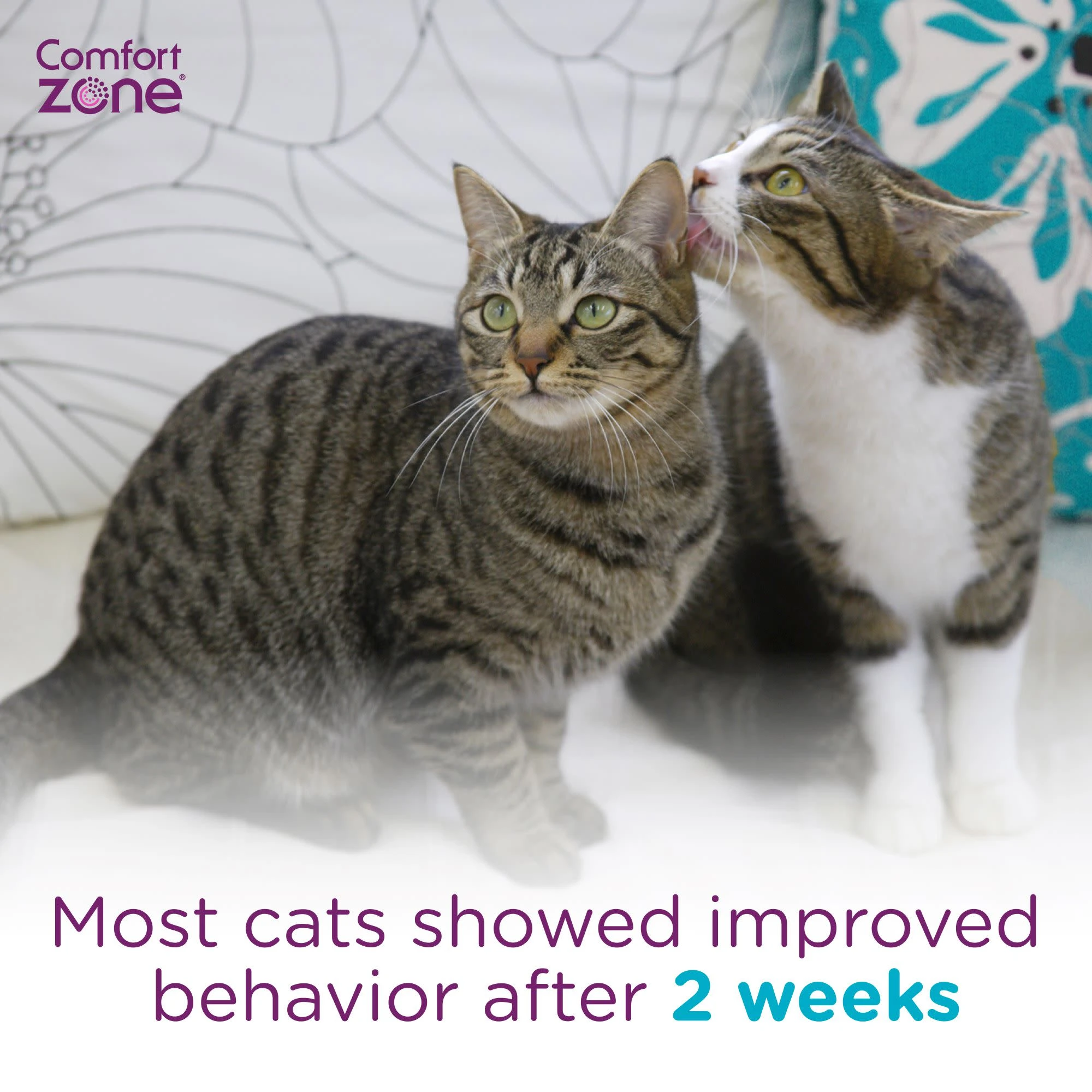 Comfort Zone Multicat Control Refill For Cat Pheromone Diffuser, 1 Count