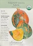 Organic Lakota Winter Squash Seeds - 2 Grams - Heirloom Variety By Botanical Interests