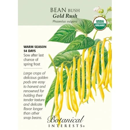Bush Bean Seeds - 15 Grams For Home Gardening