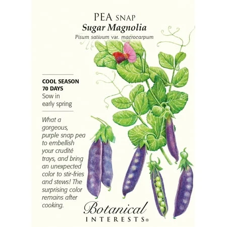 Sugar Snap Pea Seeds - 14 Grams For Home Gardening