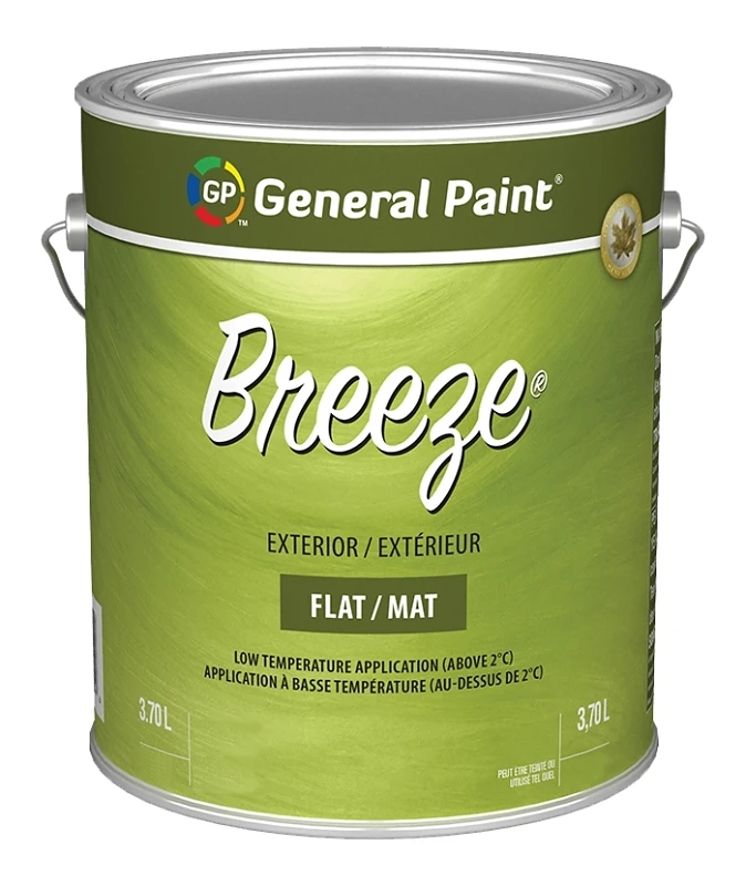 Ex Flat Accent Base 100% Acrylic Latex Paint 16 Ounce